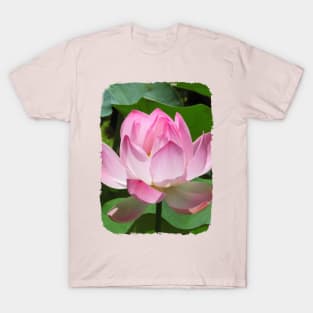 Pink Lotus T-Shirt